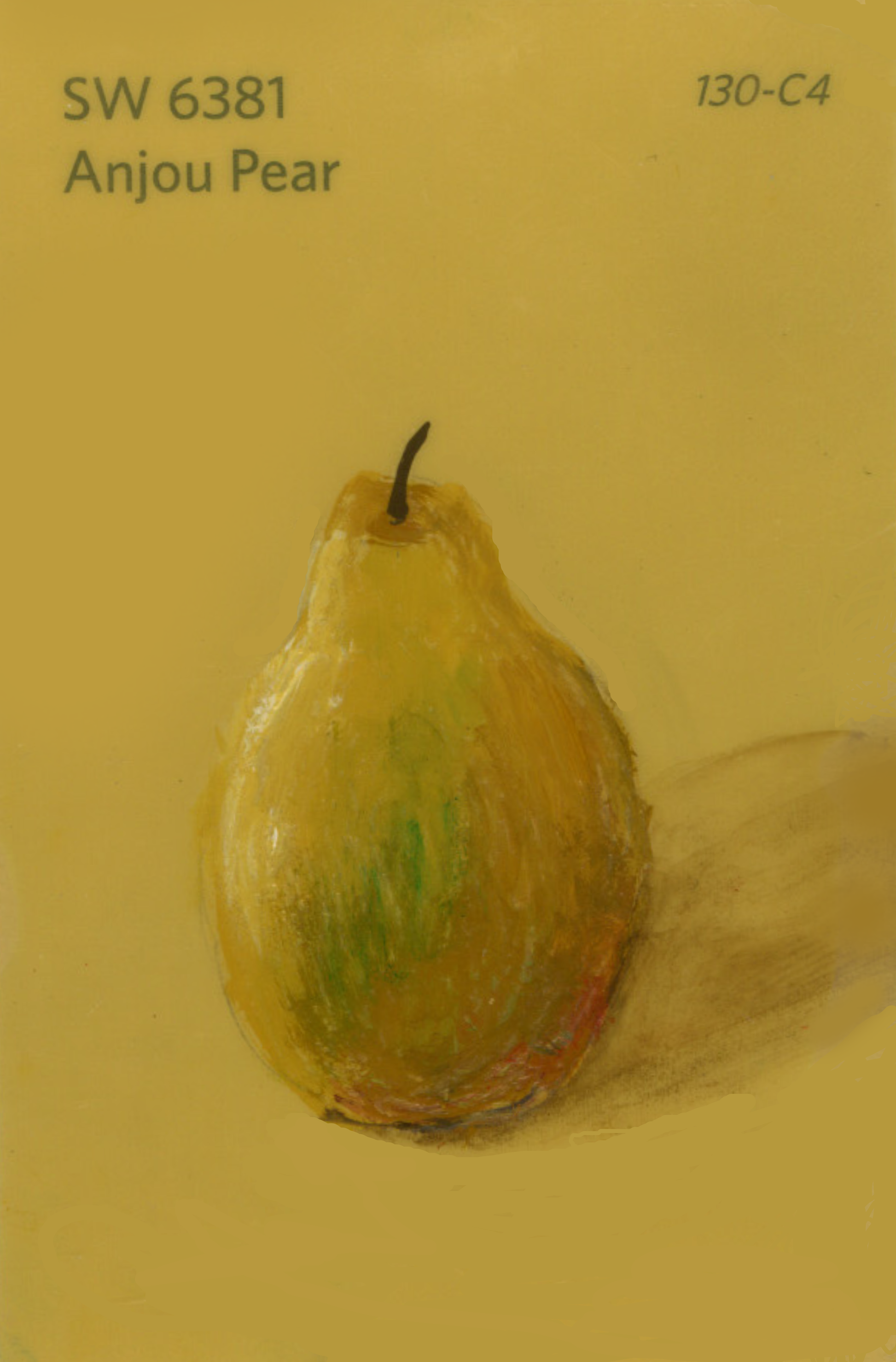 Anjou Pear