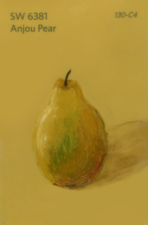 Anjou Pear